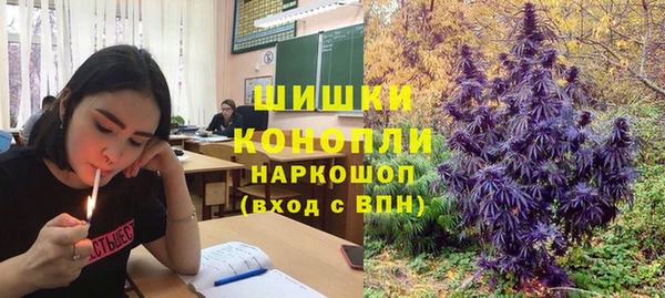 PSILOCYBIN Осташков