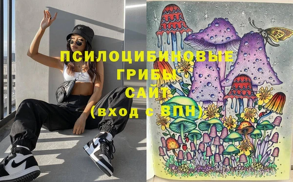 дурь Осинники