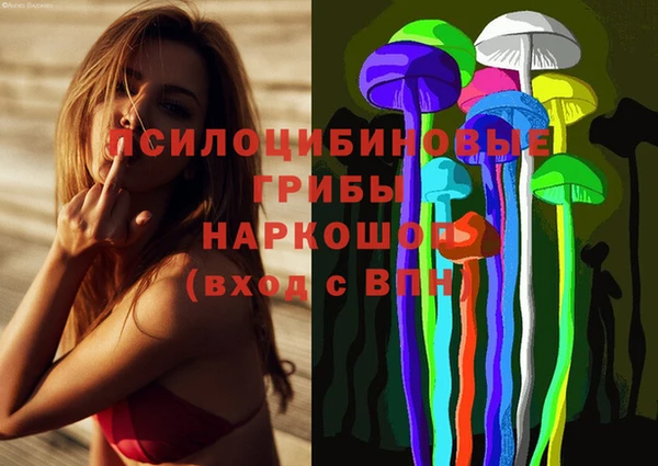 PSILOCYBIN Осташков