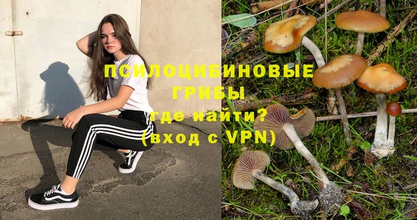 дурь Осинники