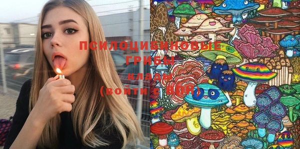 PSILOCYBIN Осташков