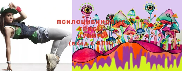 PSILOCYBIN Осташков