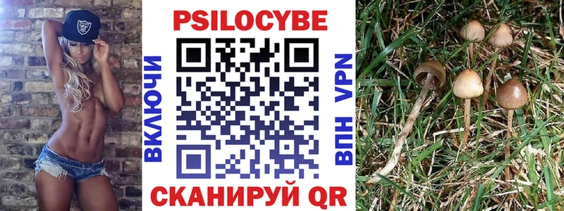 Галлюциногенные грибы мухоморы  даркнет сайт  Аркадак 